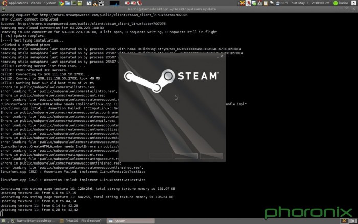 Steam linux как удалить игру